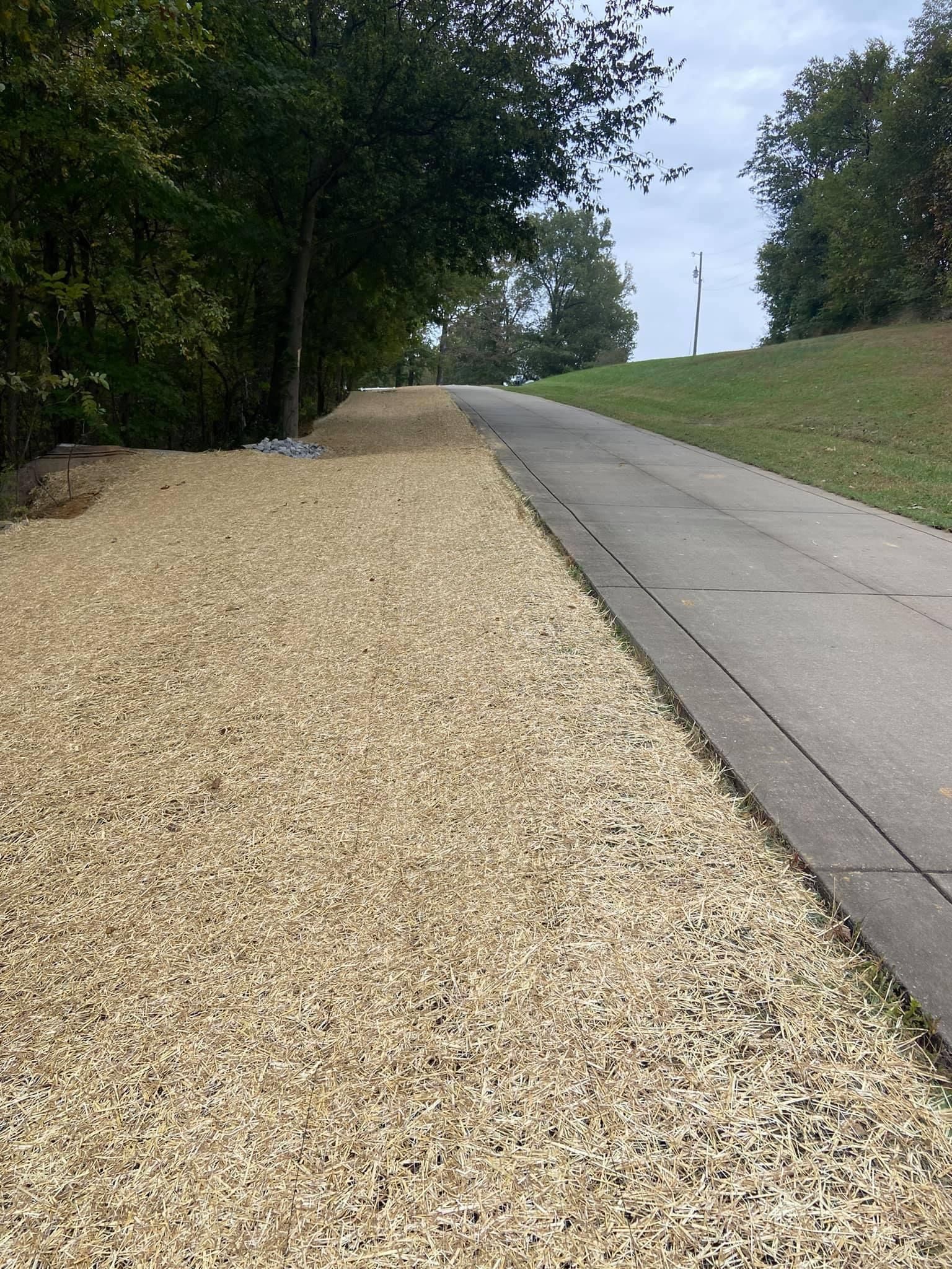 A road with gravel on the side of it and trees on the side.