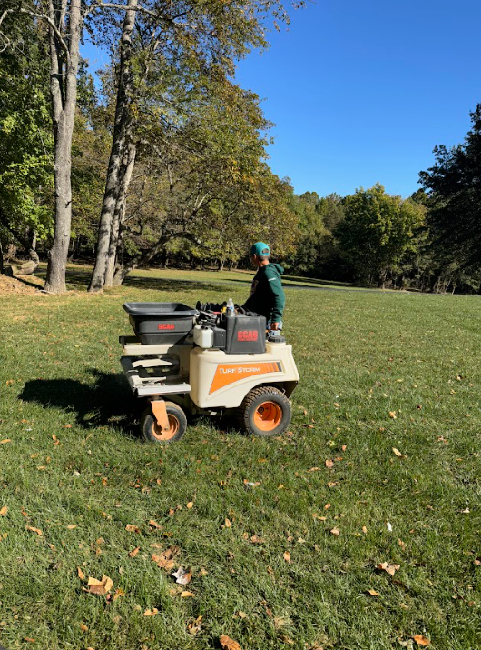 A man is rolling a roll of turf in a garden.