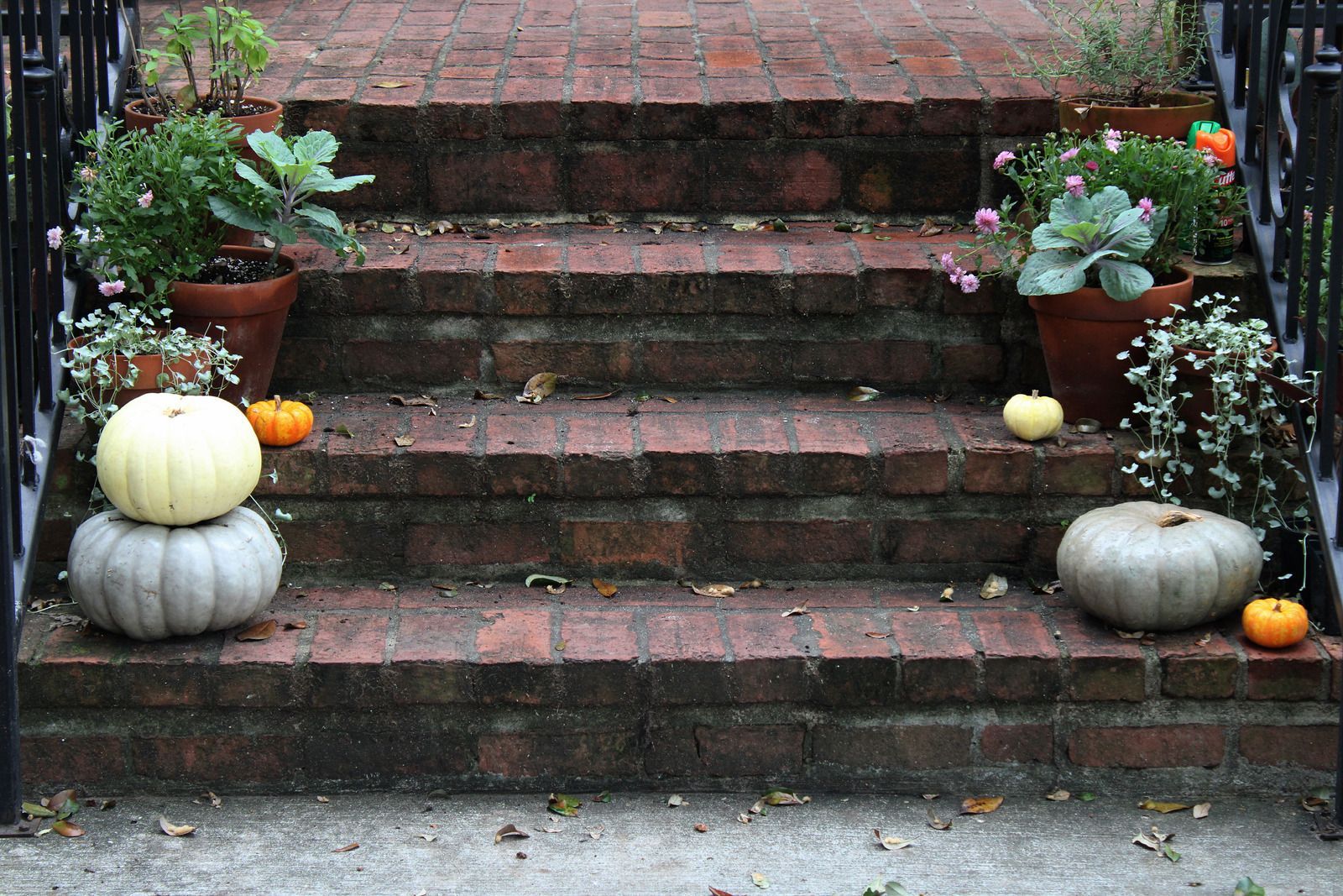 Brick Steps