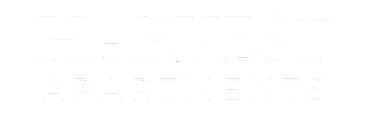 An empty white image.