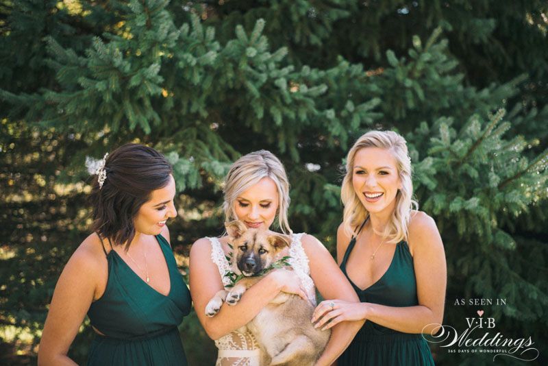 A bride and her bridesmaids are holding a dog in their arms.