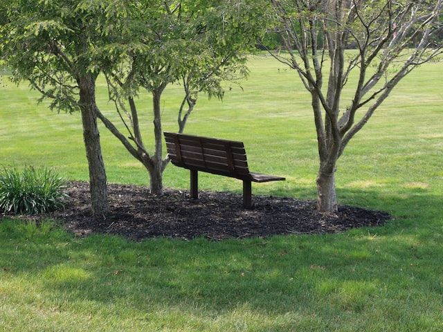 funeral homes in Bellevue, TN