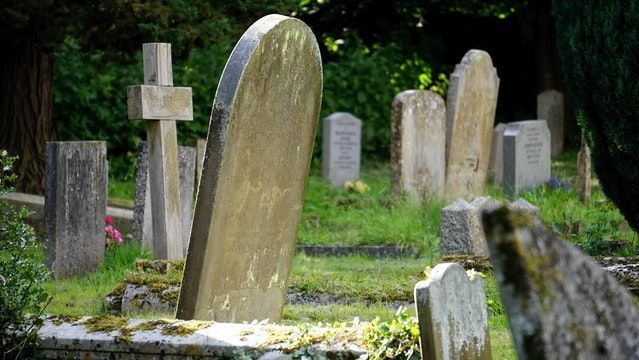 cremation services in Bellevue, TN