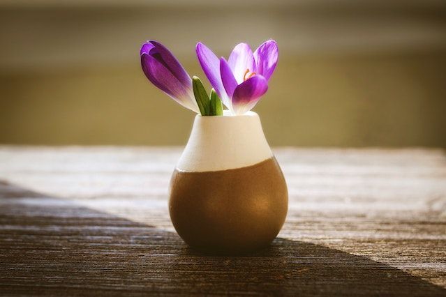 funeral homes in Nashville, TN