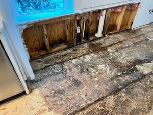 Water-damaged floor and wall base beneath a window, with exposed wood and peeling paint