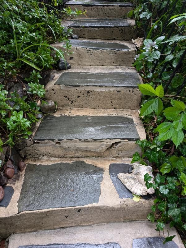 Narrow stone steps winding up through lush green foliage in a garden setting