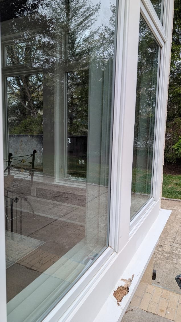 White-framed glass bay window on a patio, with a small brown leaf on the sill and trees reflected in the glass