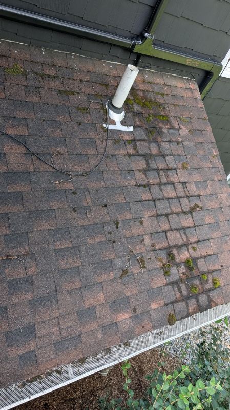 A roof with a gutter filled with leaves and grass.