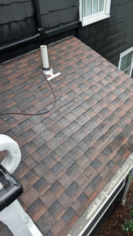 Rooftop with brown shingle tiles, a vent pipe, and black siding beside a window.