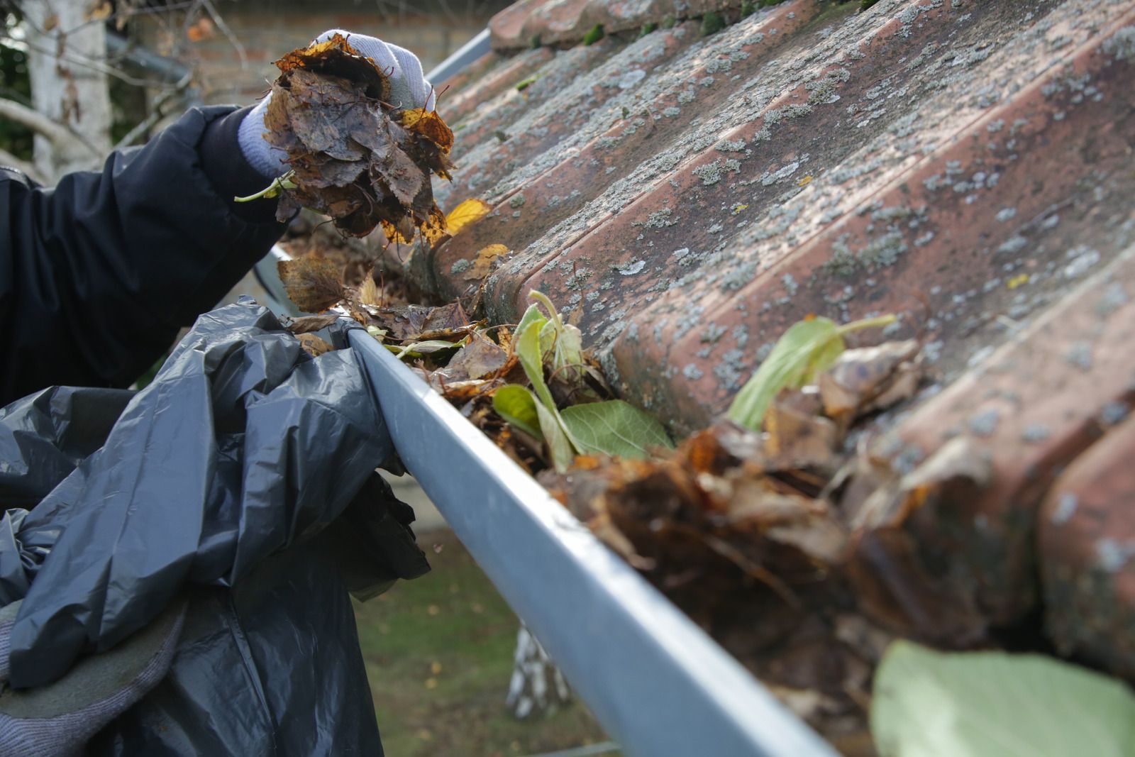 Person cleaning debris from a gutter on a rusty roof