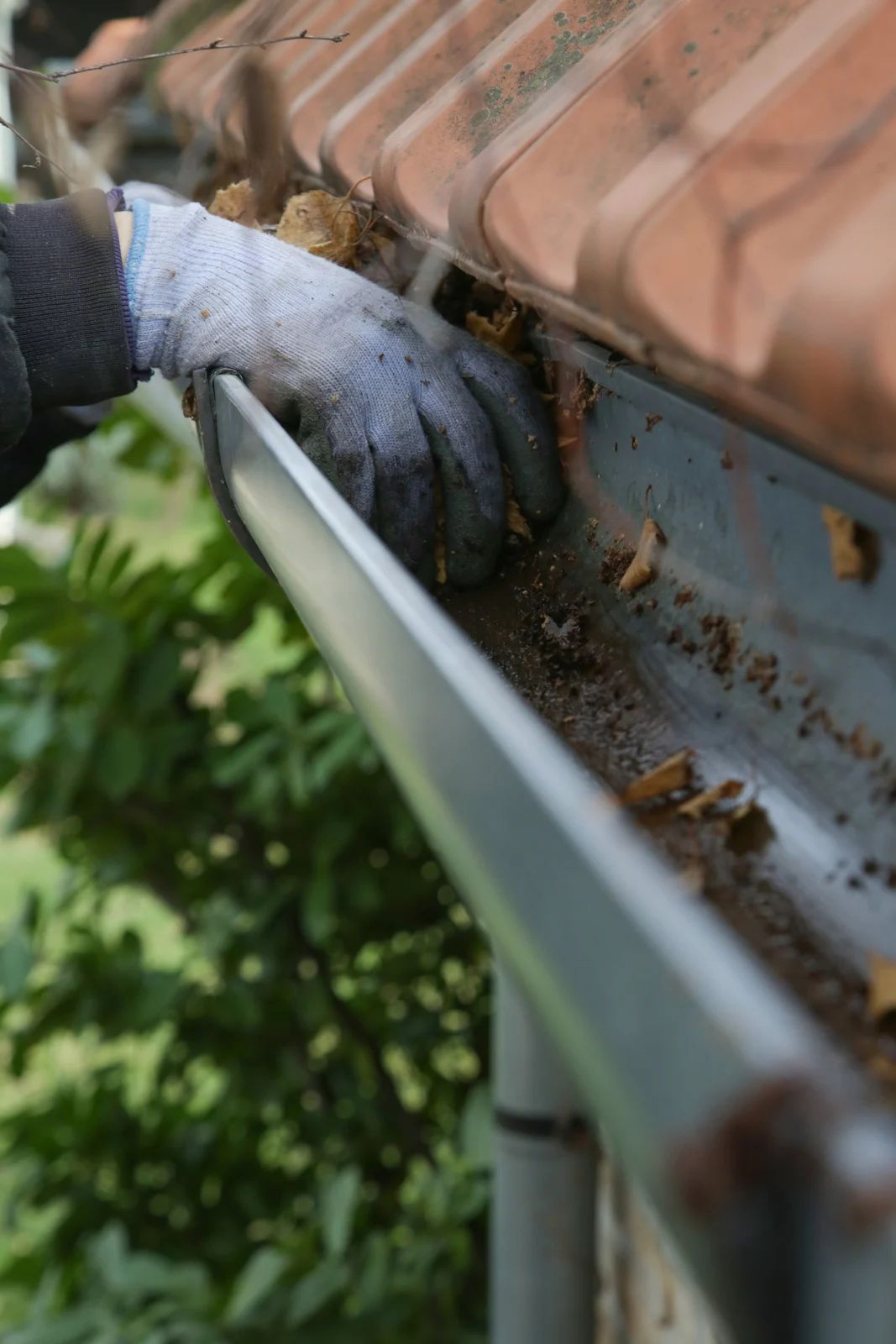 A gloved hand cleaning leaves and debris out of a metal rain gutter attached to a tiled roof.