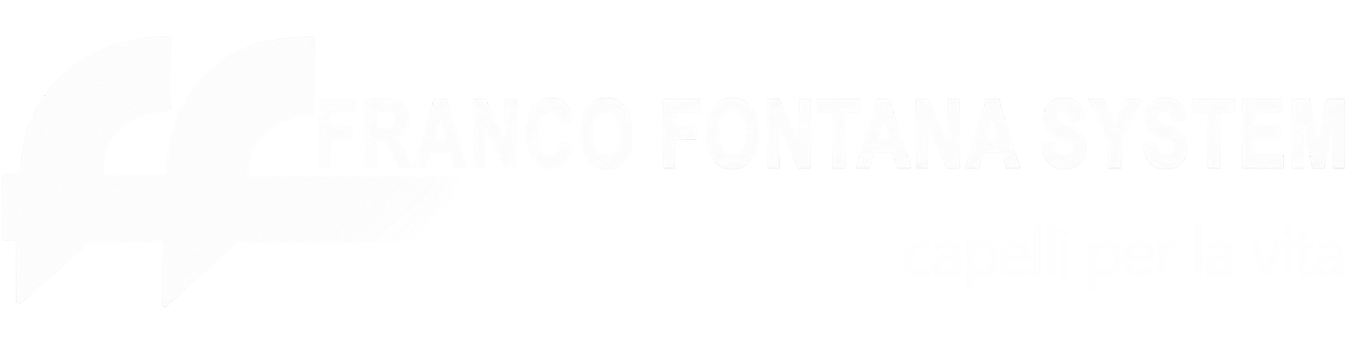 logo franco fontana system