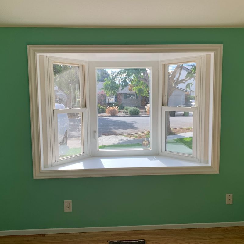Green room with a large white-trimmed bay window overlooking a suburban street.
