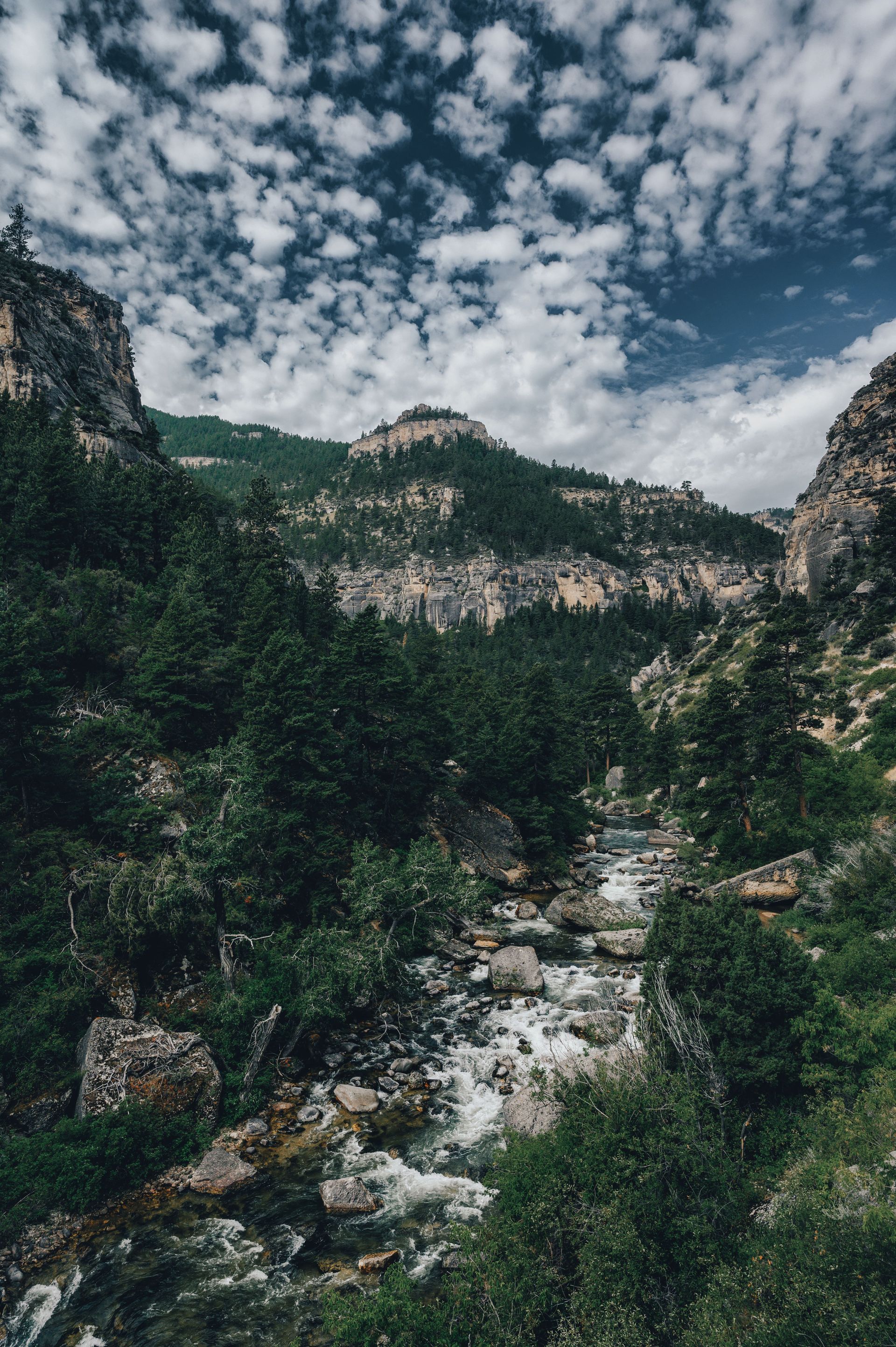 Mountain canyon with a rocky river, dense green trees, and a cloudy sky
