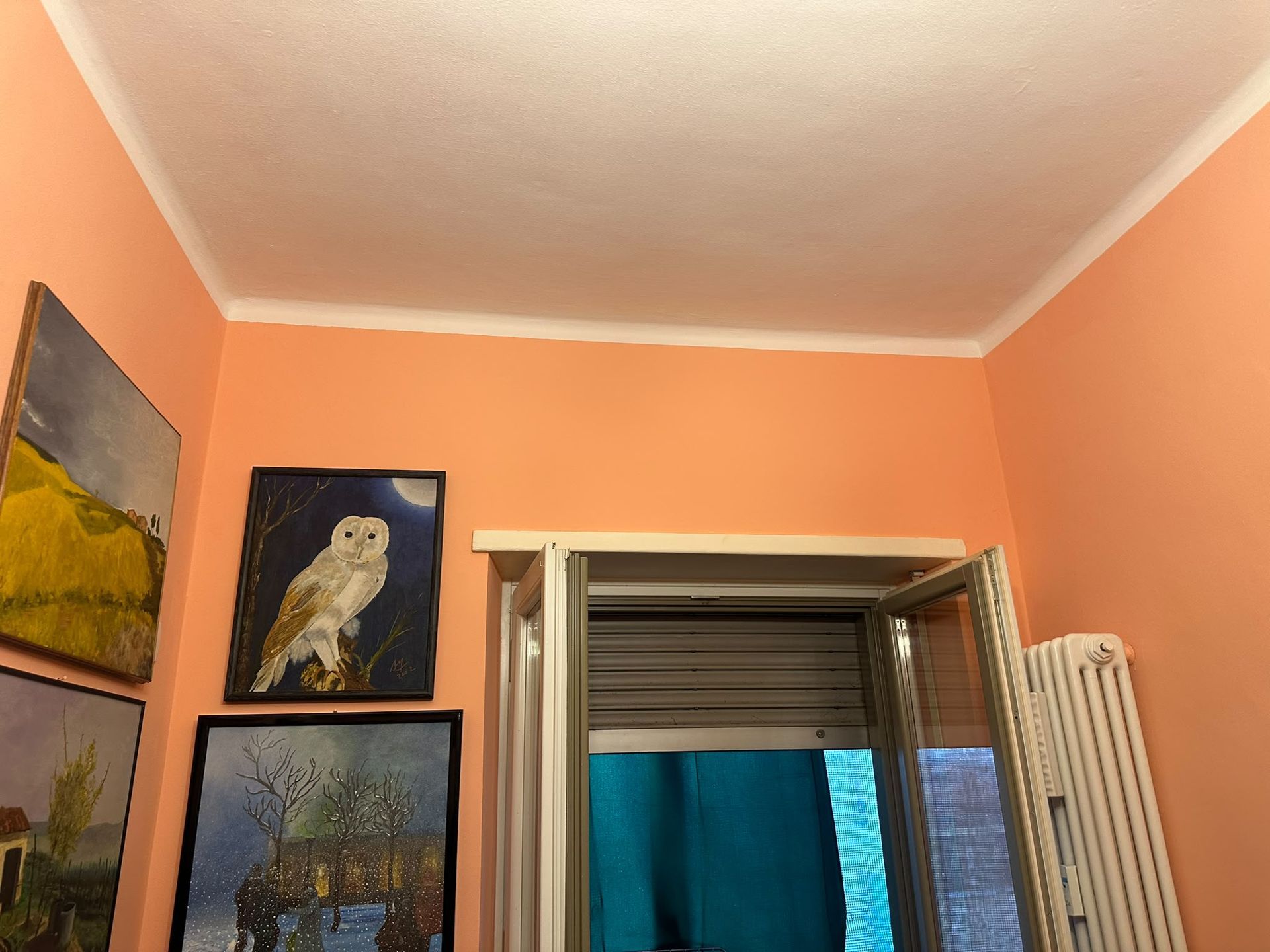 Stanza dalle pareti color pesca, con quadri incorniciati raffiguranti animali e una finestra aperta sopra tende blu