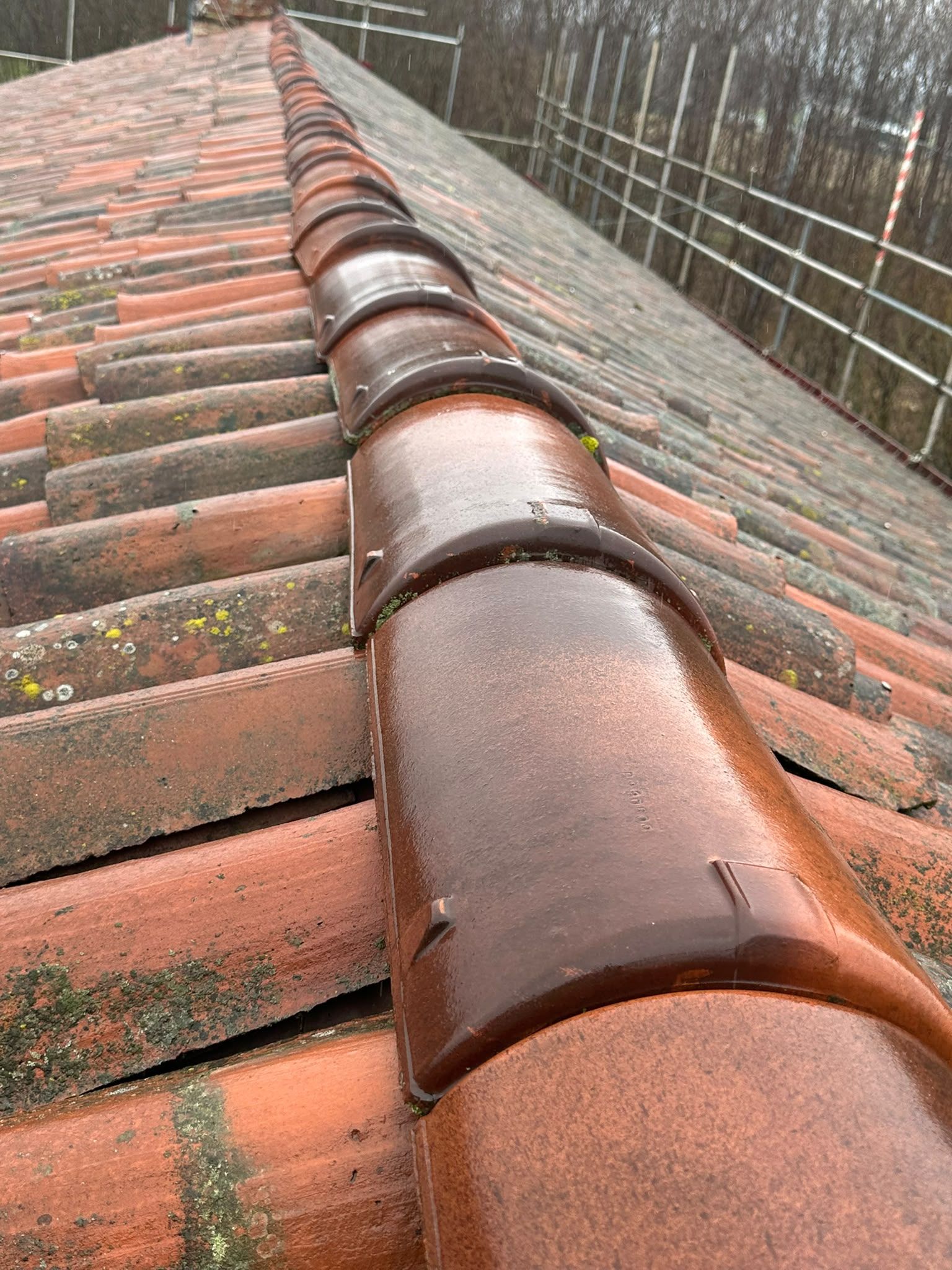 Primo piano del colmo di un tetto in tegole di terracotta bruno-rossastre, con chiazze di muschio, sotto alberi spogli
