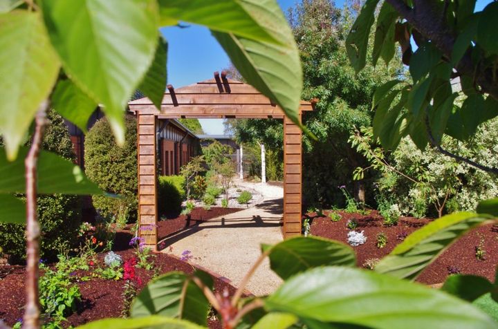 Professional Landscaper Taking Care of Ornamental Plants
