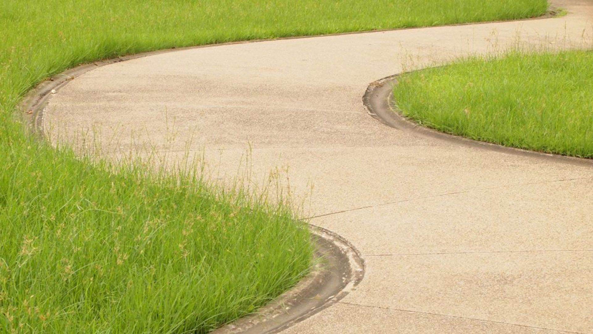 Affordable Curved Coloured Concrete Pathway In Mackay QLD
