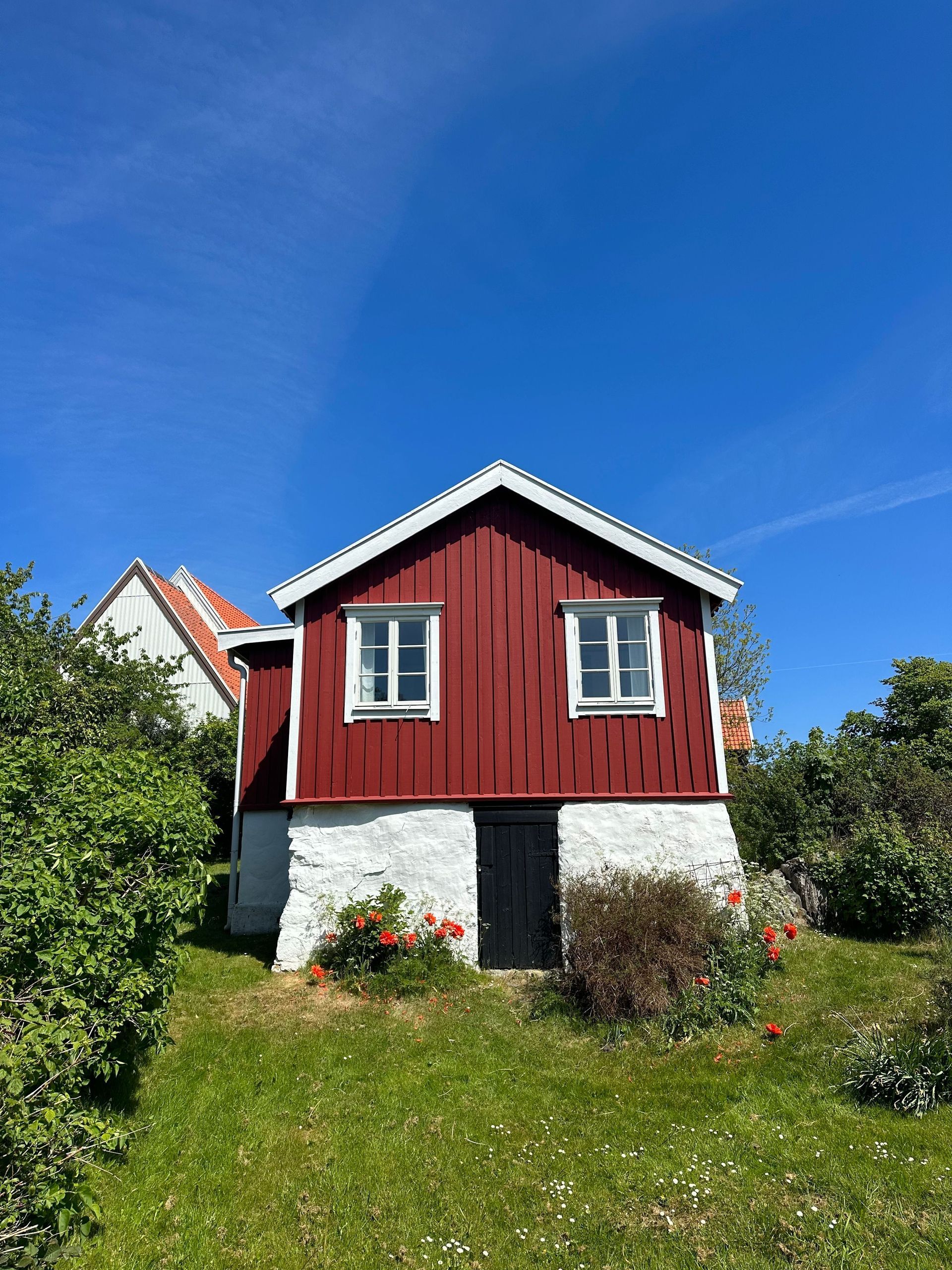 Red cottage with white foundation and windows, set in a sunny green garden under a blue sky