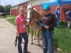 Holding Horse Leash — Medina, OH — Medina Creative Housing