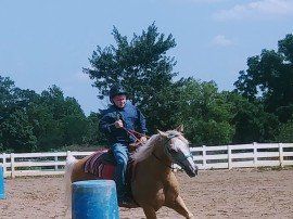 Riding Horse — Medina, OH — Medina Creative Housing