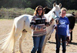Women With White Horse — Medina, OH — Medina Creative Housing