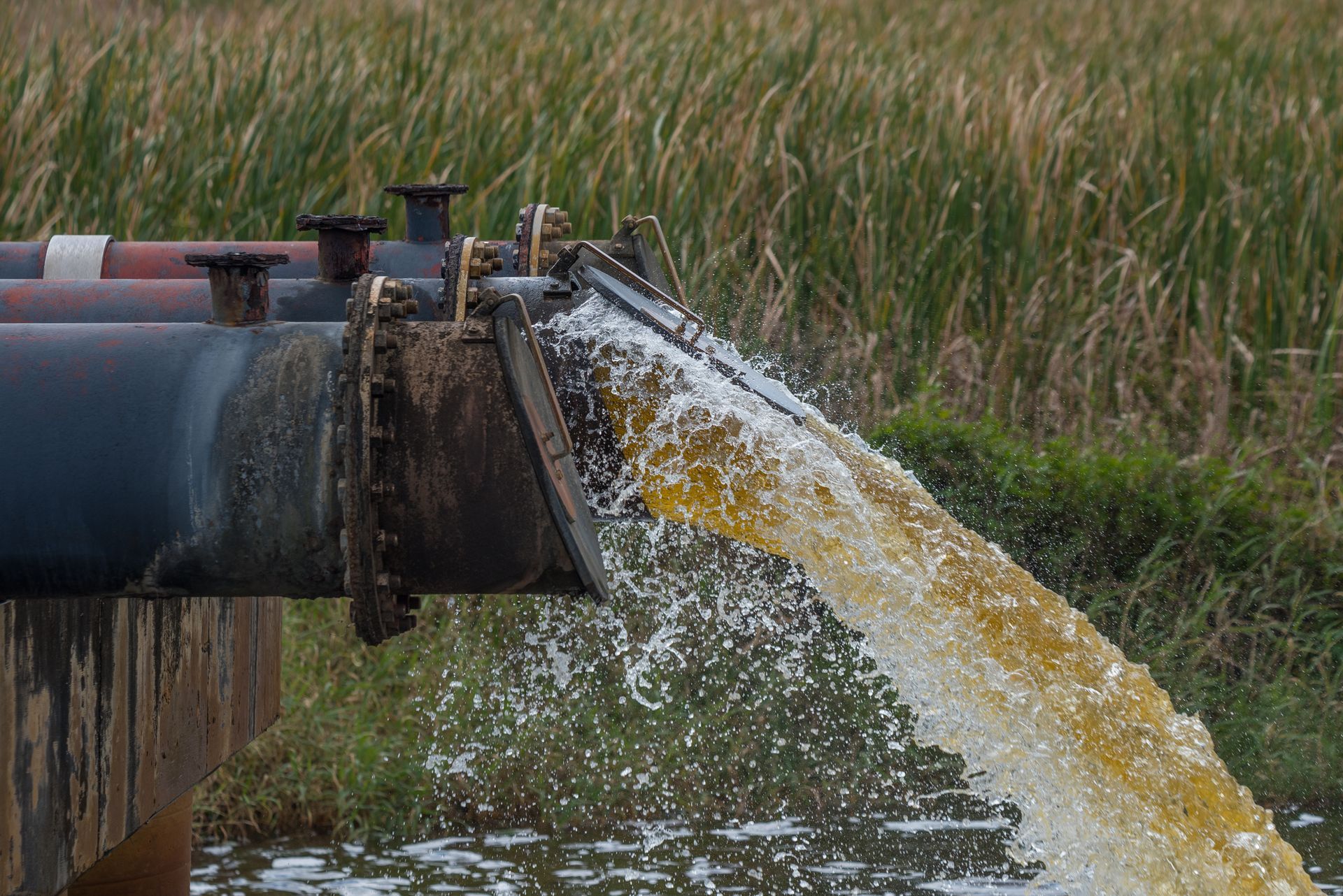 Industrial pipe discharging wastewater into a waterway beside tall marsh grasses. Industrial pipe discharging wastewater into a waterway beside tall marsh grasses.