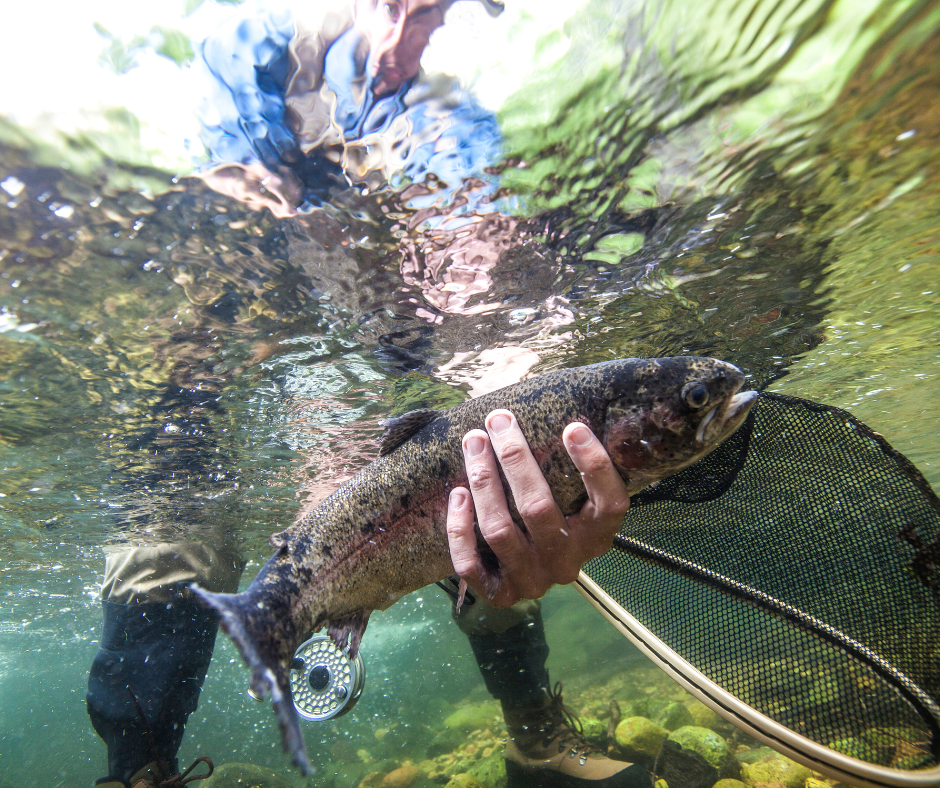 Chattahoochee National Park Conservancy