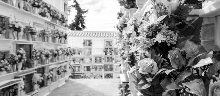 What to Expect When a Loved One is Cremated