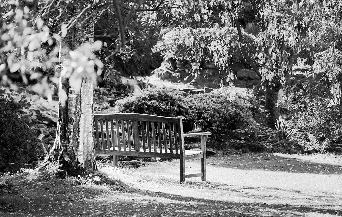 After Cremation: Finding Peace in Letting Go