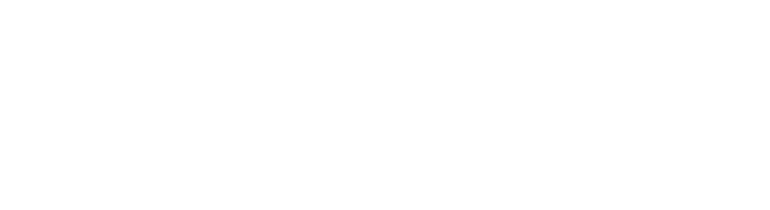 footer logo