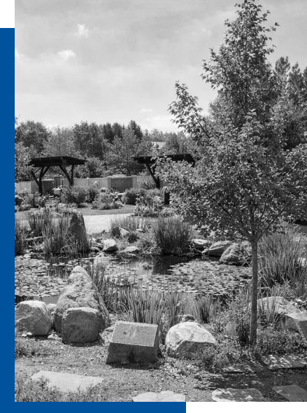 Peaceful cremation garden with pond, trees, and memorial markers at The Cremation Gardens, offering a natural setting for honoring and memorializing loved ones.
