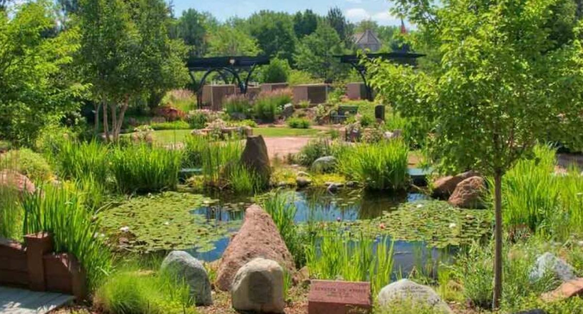 Lily pond with grasses and Colorado boulders