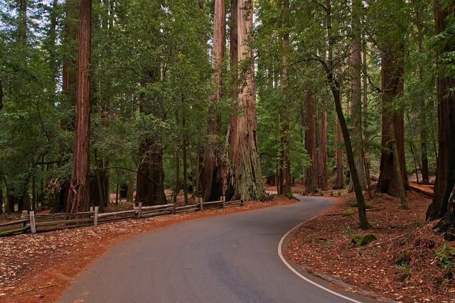 scenic drive