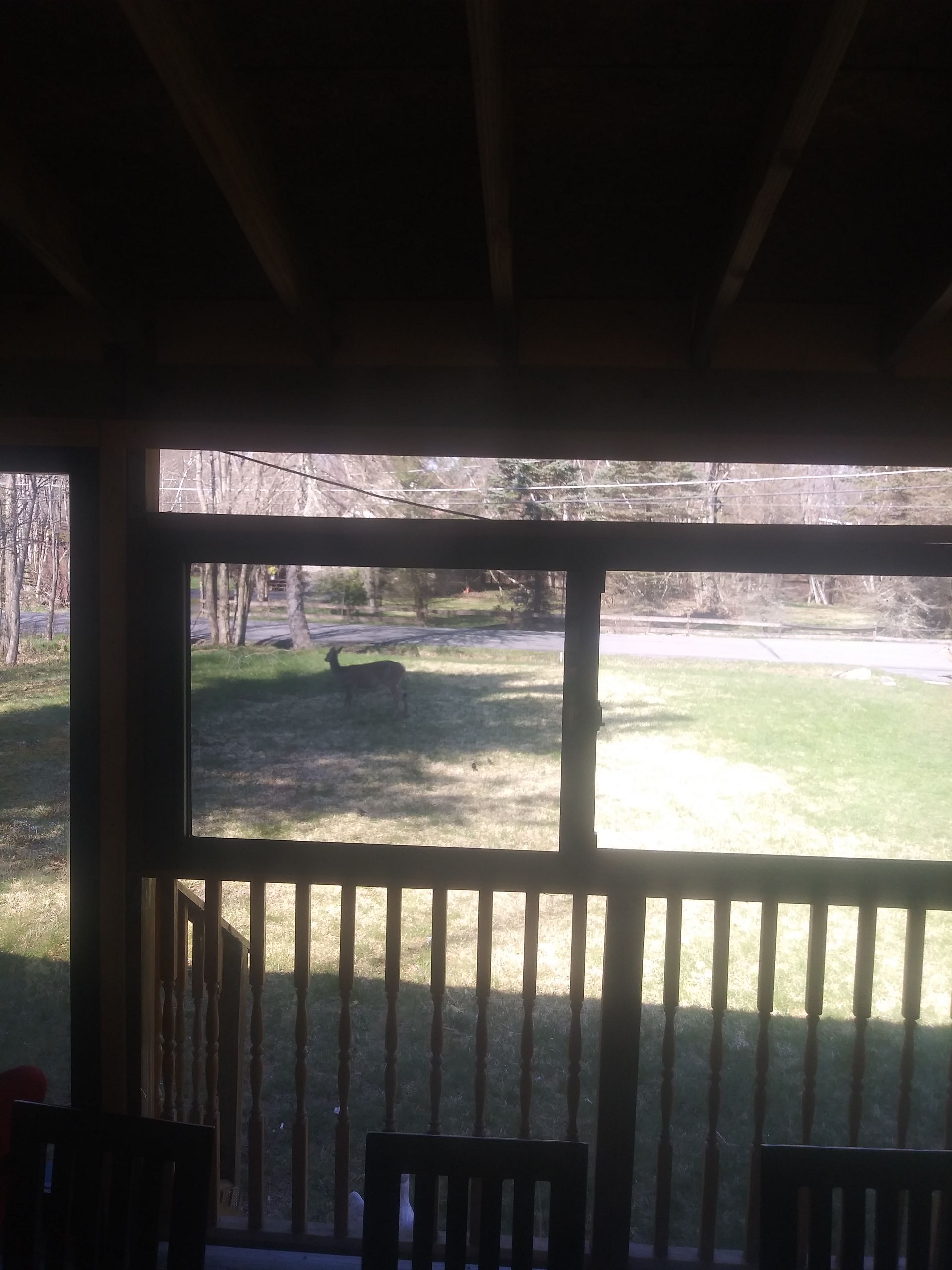 View from a porch with railings onto a sunlit yard and trees beyond.