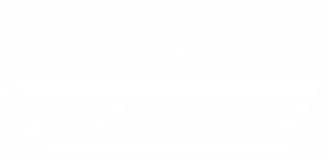 Sfondo bianco.