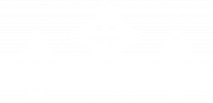 Sfondo bianco.