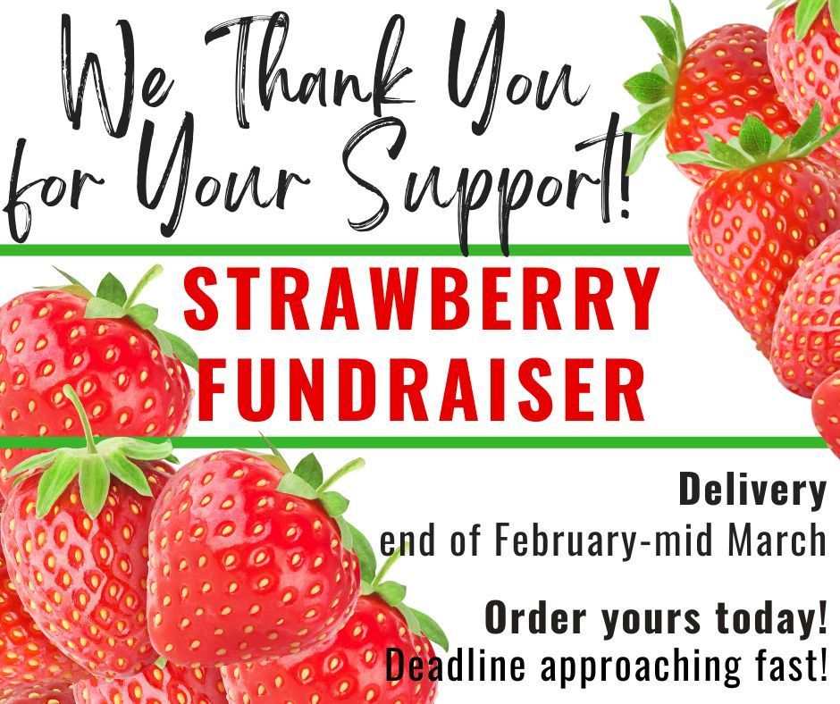 Strawberry Social Media Banner