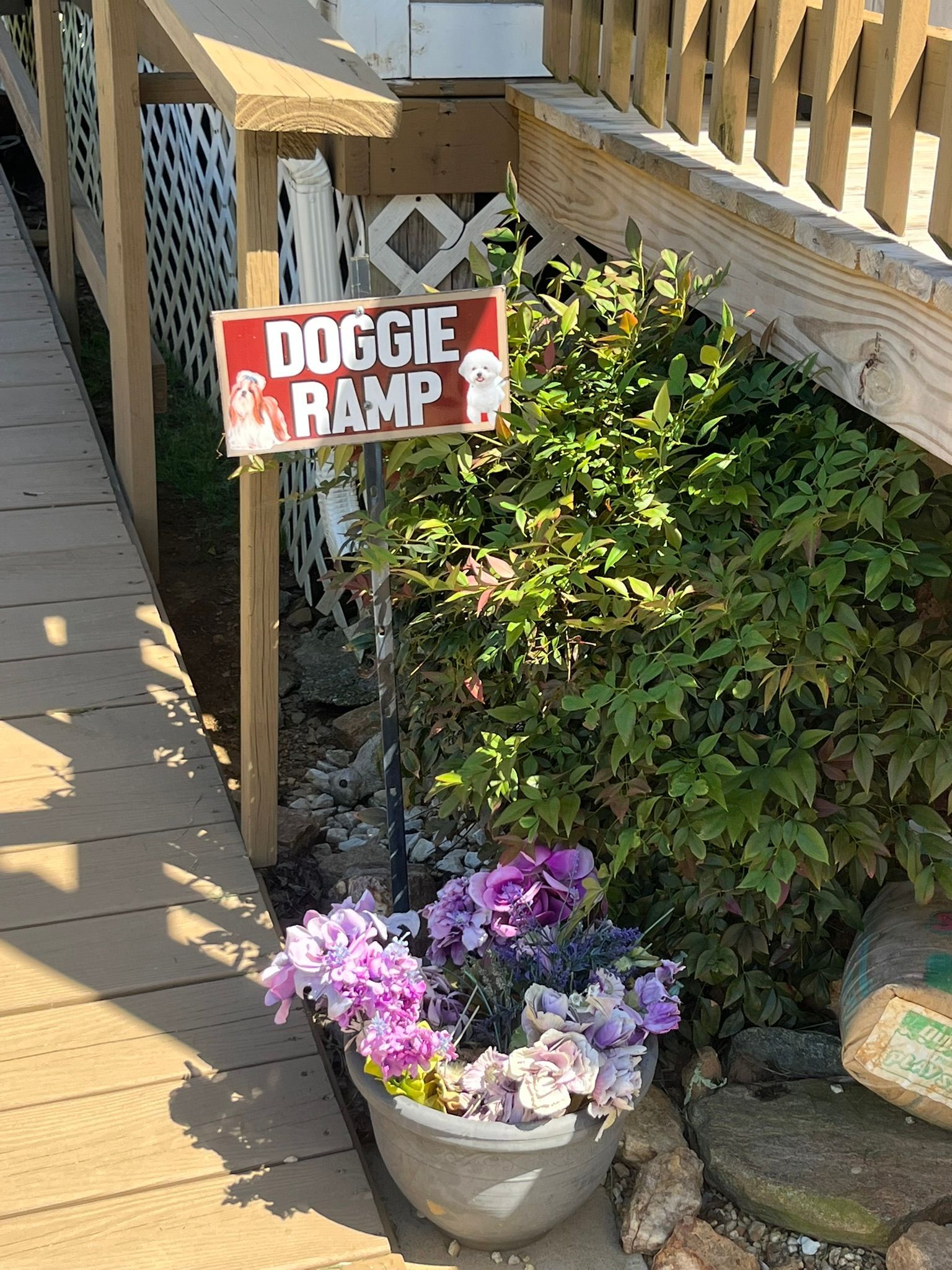 A sign for a doggie ramp is sitting next to a pot of flowers.