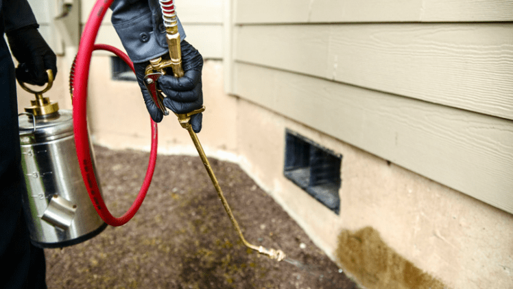 A person is spraying a house with a sprayer.