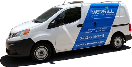 A white and blue merrill van is parked on the side of the road