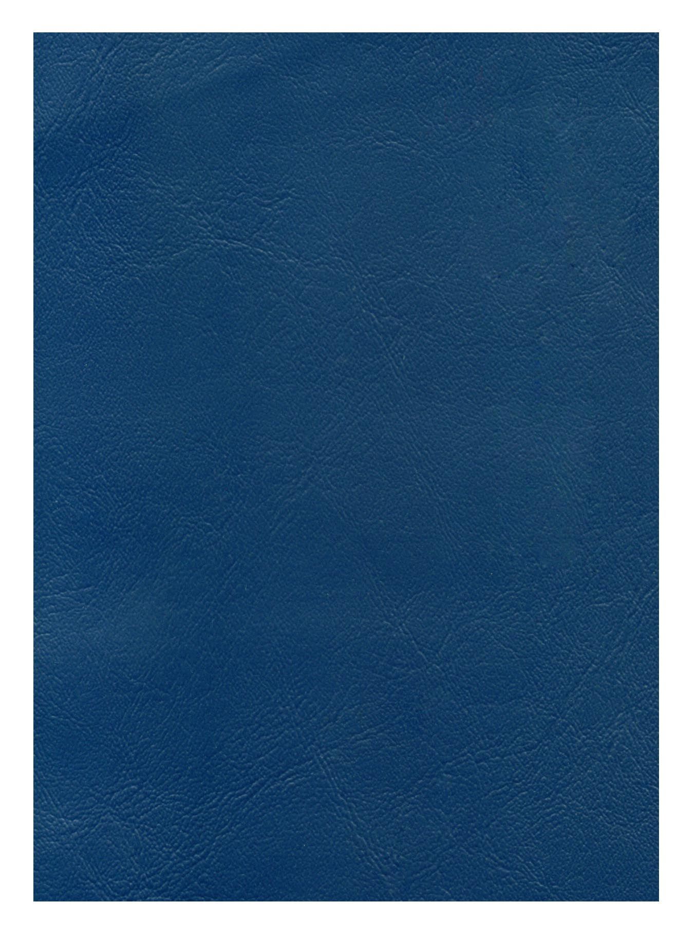 Un gros plan d'un tapis bleu sur fond blanc.