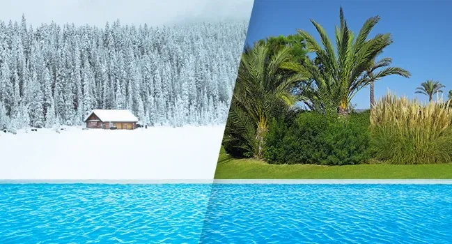 Un collage d'une forêt enneigée et d'une piscine.