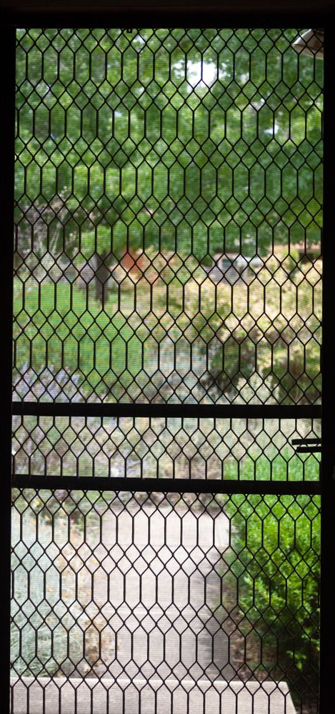 View Through a Wire Mesh Window to a Green Yard, Trees — Working Windows in Noosa Heads, QLD
