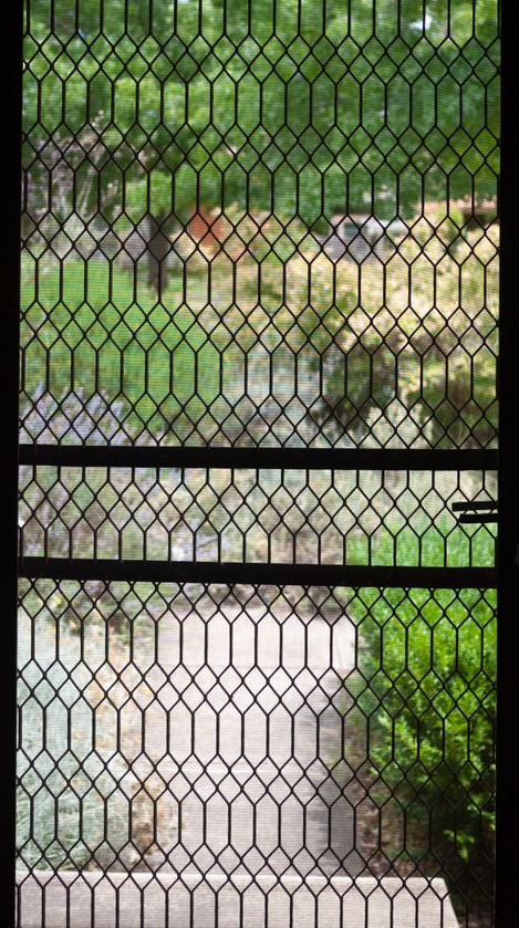 Open Security Screen Door Looking Out at a Path and Yard. Green Foliage Visible — Working Windows in Mullumbimby, NSW