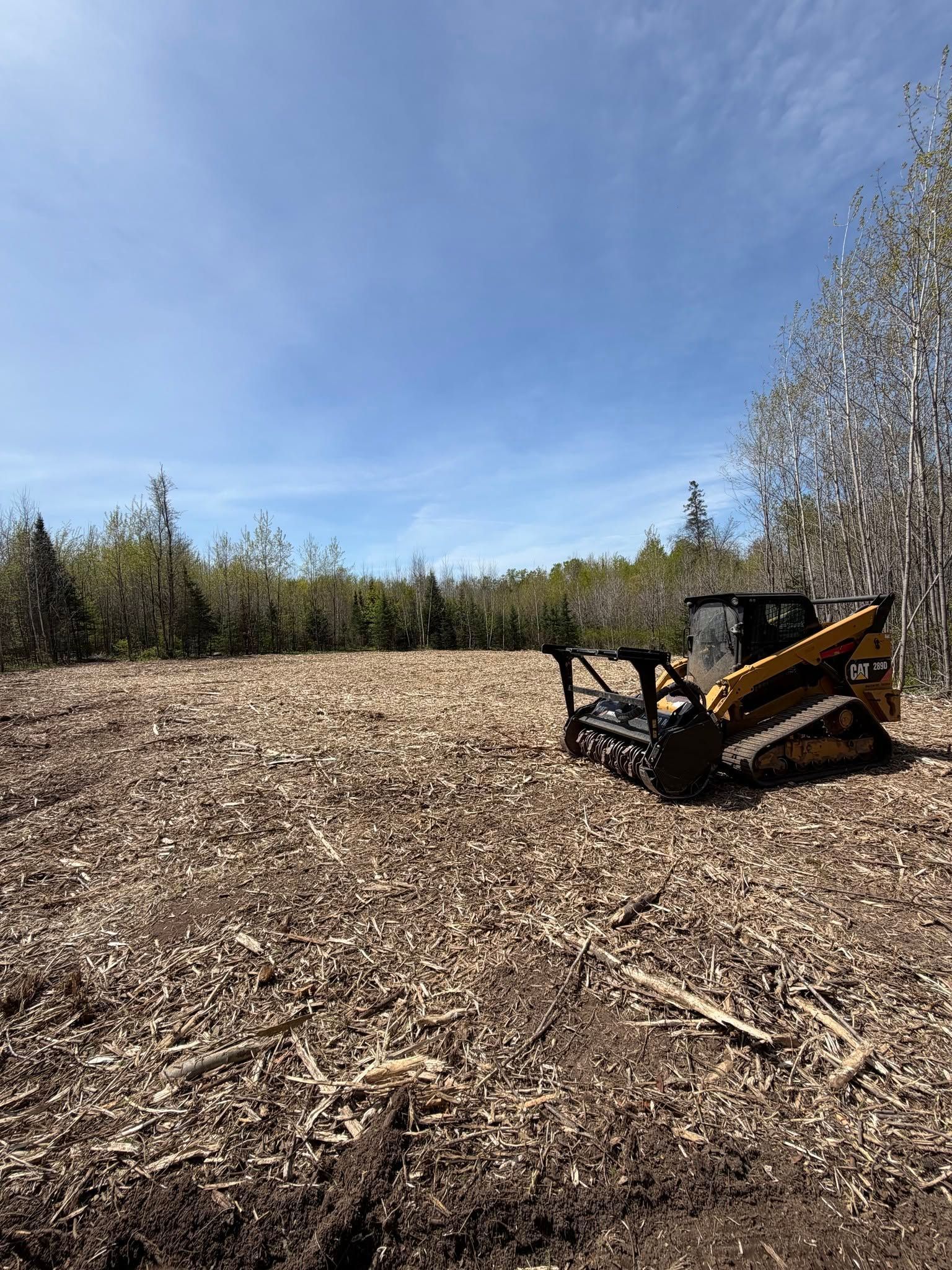 Small skid-steer loader on a wood-chip-covered field under a blue sky, with trees in the background
