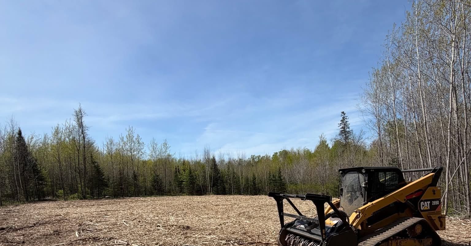 A yellow skid steer in a harvested field beside a tree line under a blue sky