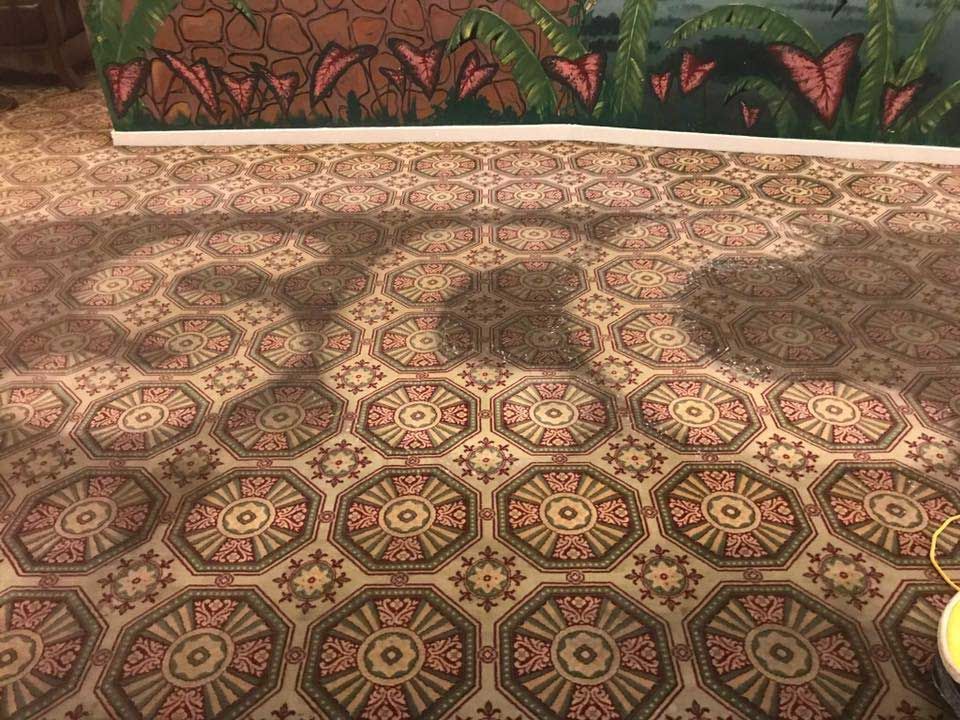 Carpet Cleaning — Mobile, AL — Southern Carpet Care