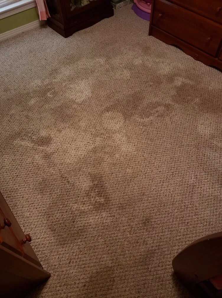Stain Removal — Mobile, AL — Southern Carpet Care