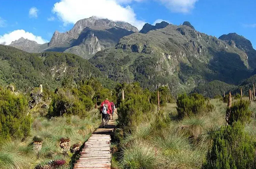 A group of people are walking across a wooden bridge in the mountains.